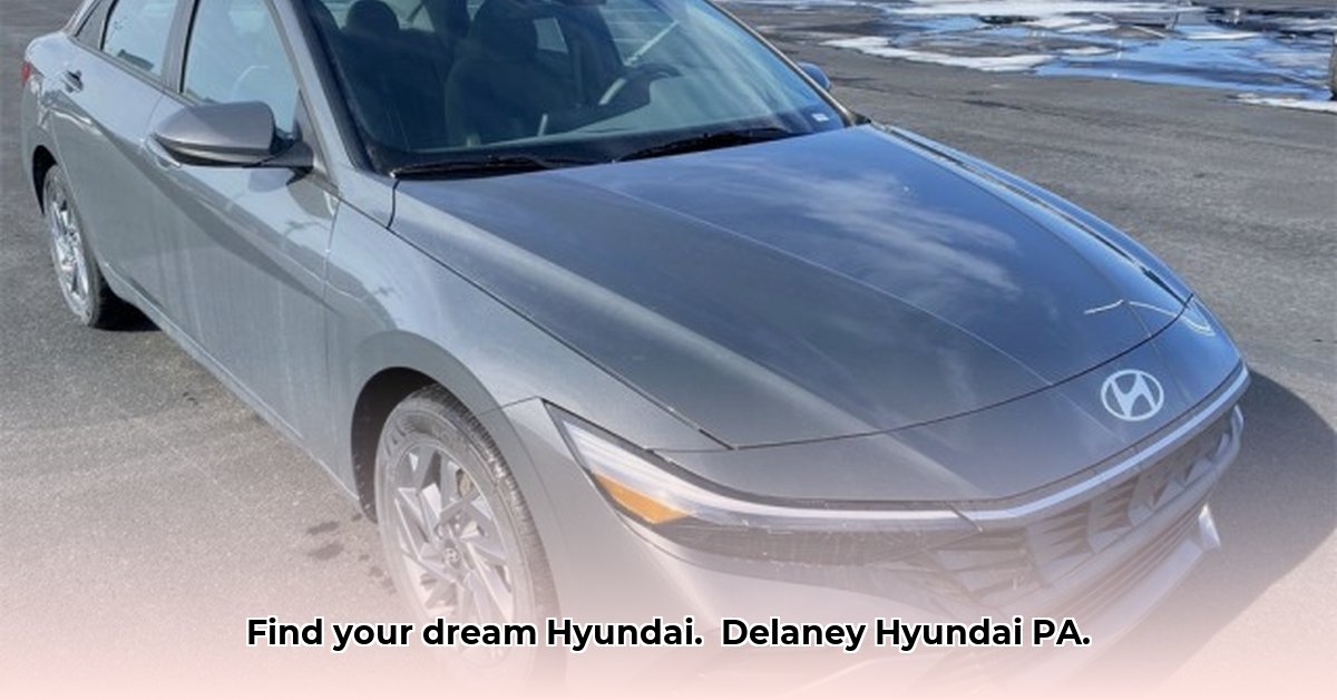 delaney-hyundai-pa